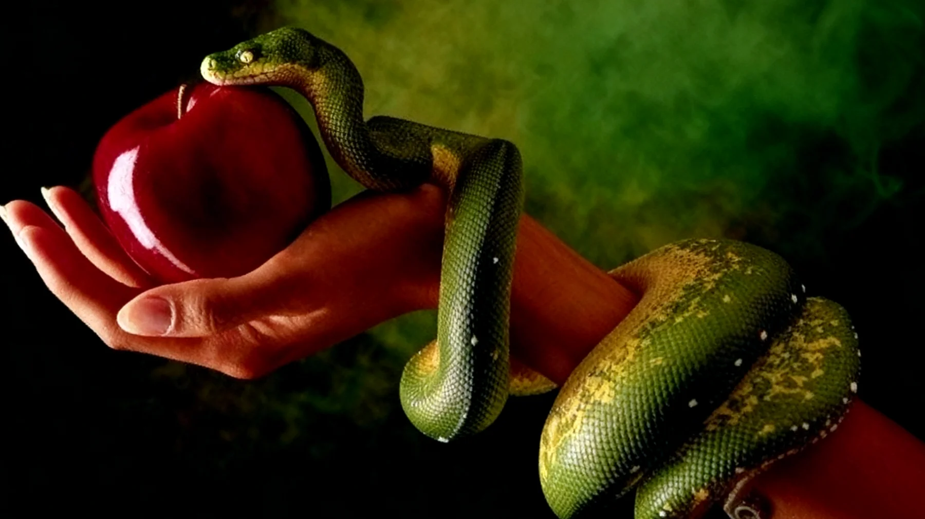 Forbidden Fruit2025-12-29T22:57:37.966Z"