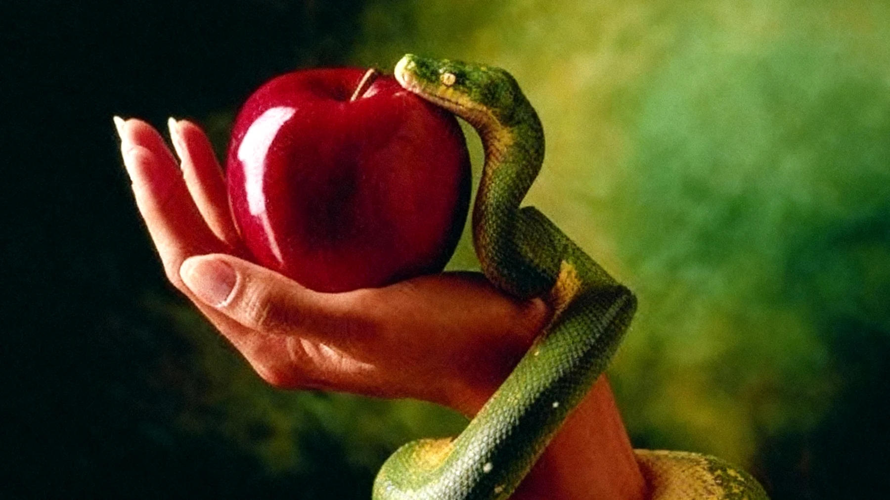 Forbidden Fruit2025-12-30T22:55:54.584Z"