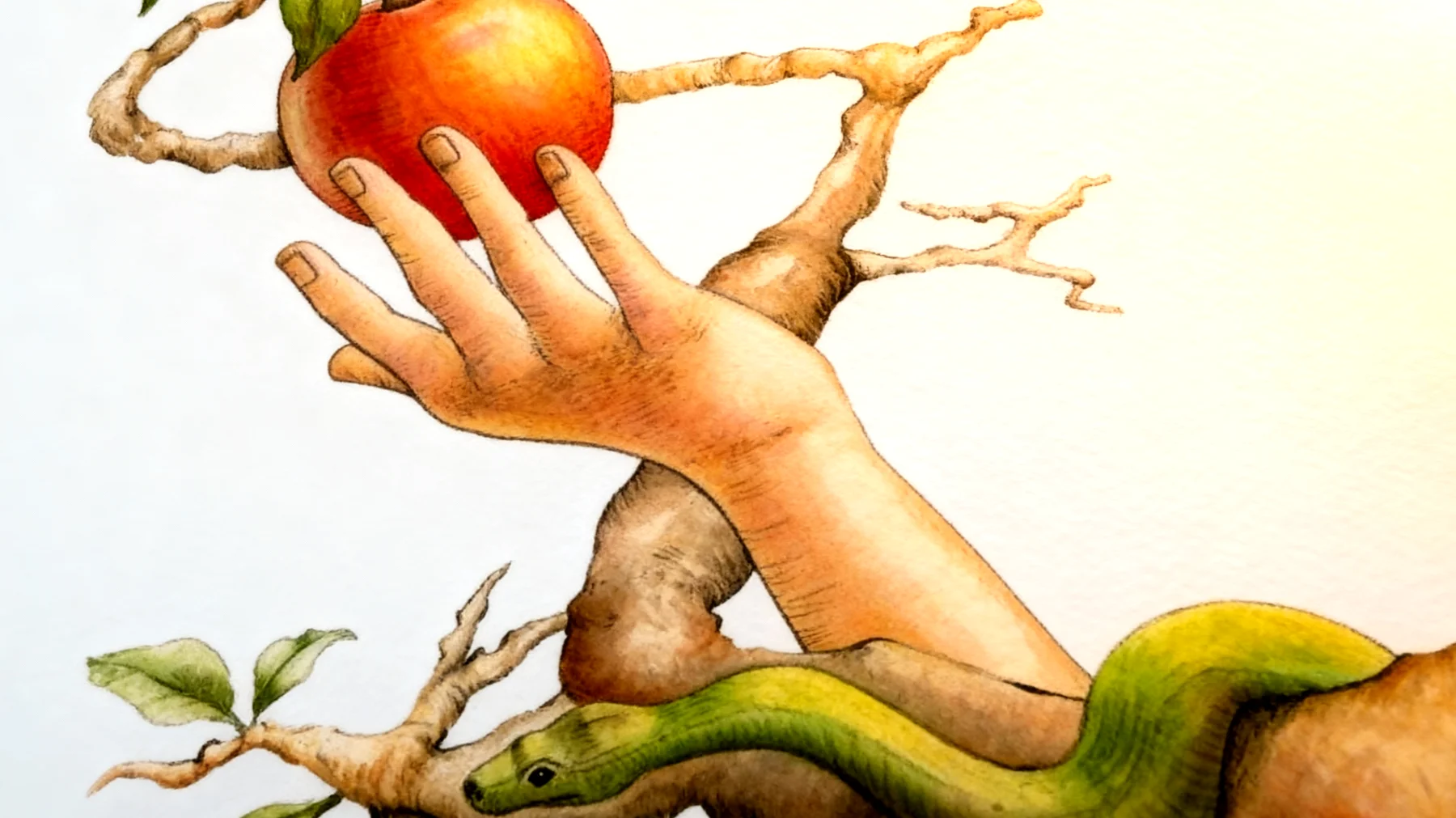 Forbidden Fruit2026-01-01T23:01:02.805Z"