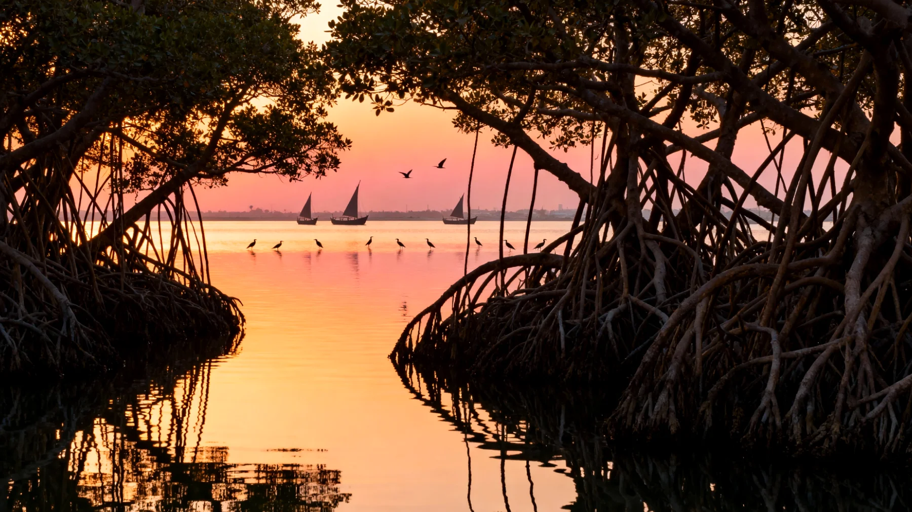 Riserva Naturale di Ras Al Khor"